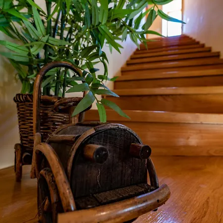 Apartmán Vecchia Dubrovník