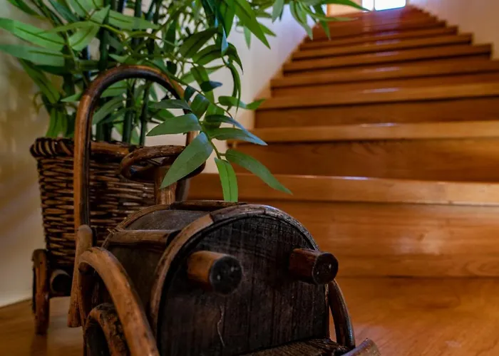 Apartment Vecchia Dubrovnik