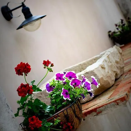Vecchia *
