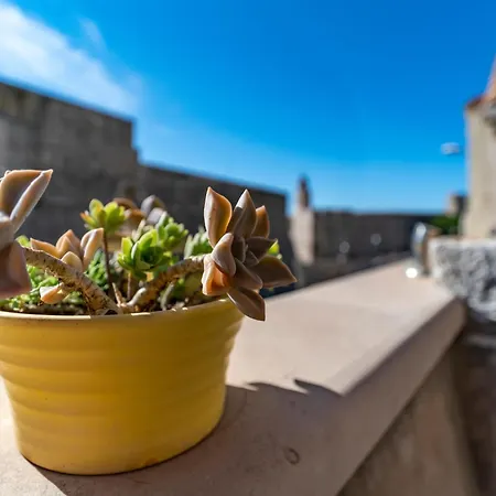 Vecchia Apartamento Dubrovnik