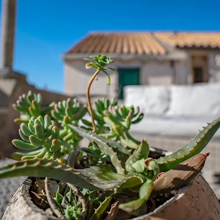 Vecchia Apartamento *